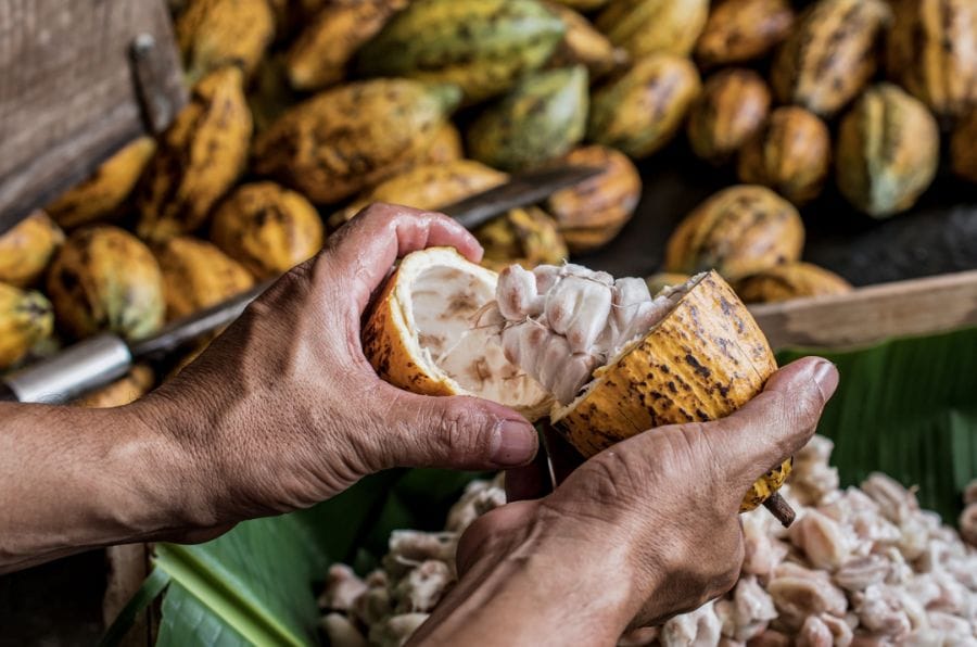 Cultural Experience Tour