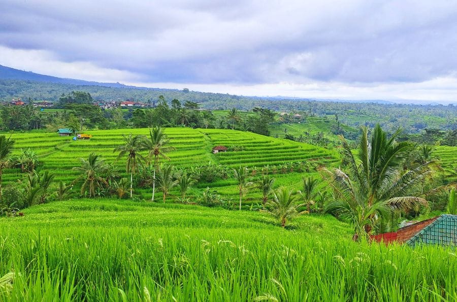 Cultural Experience Tour