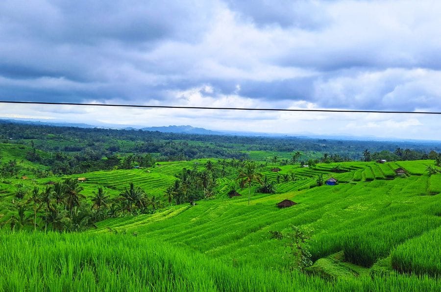 Cultural Experience Tour