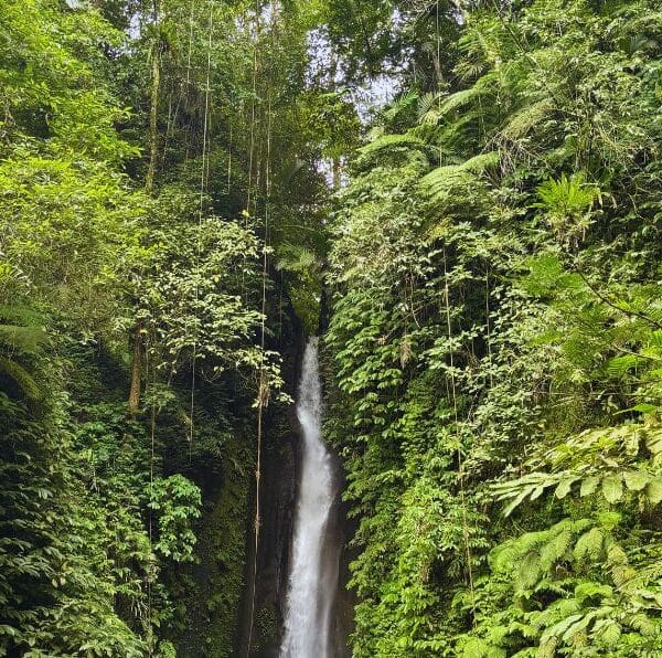 Waterfall Enthusiast Tour