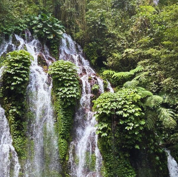Waterfall Enthusiast Tour