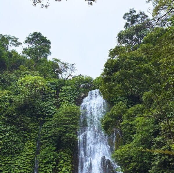 Waterfall Enthusiast Tour