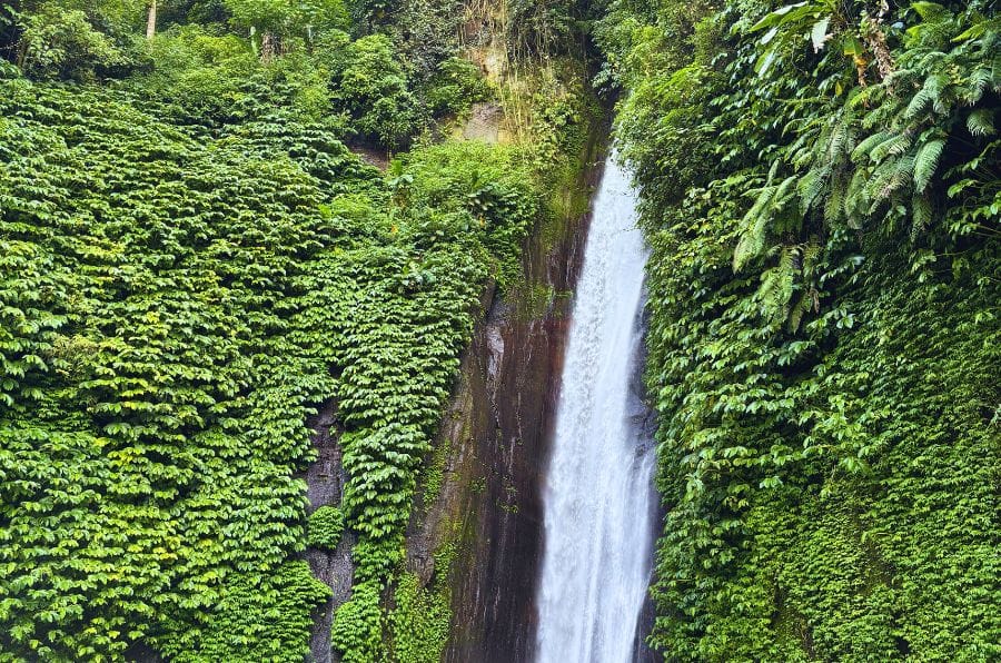 Waterfall Enthusiast Tour