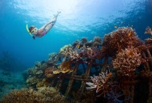 Pemuteran Diving & Snorkeling
