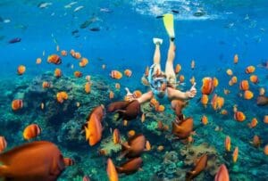 Snorkeling at Menjangan Island