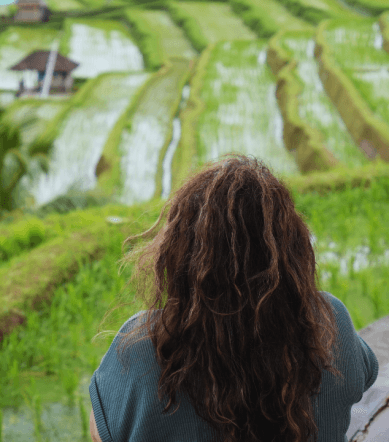 jatiluwih ubud bali (4)