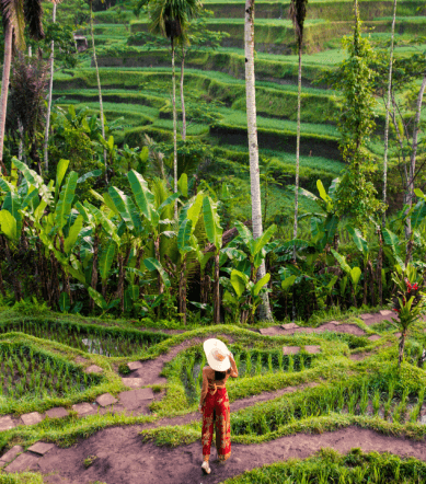 tagalalang ubud bali (2)