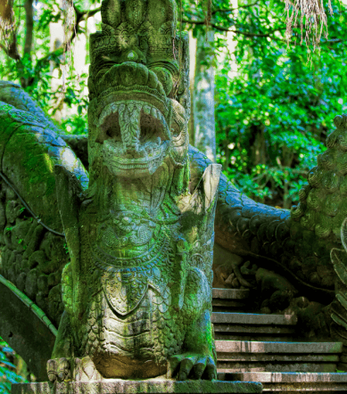 ubud monkey forest bali (3)
