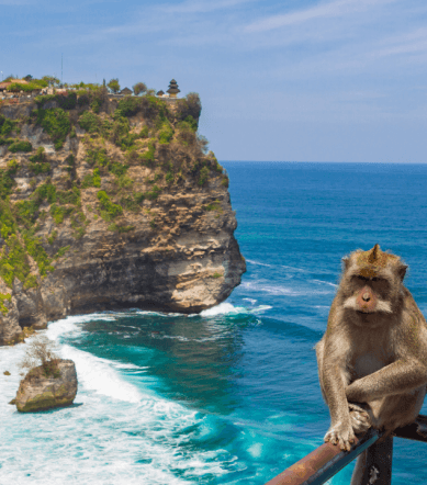 uluwatu temple bali (3)